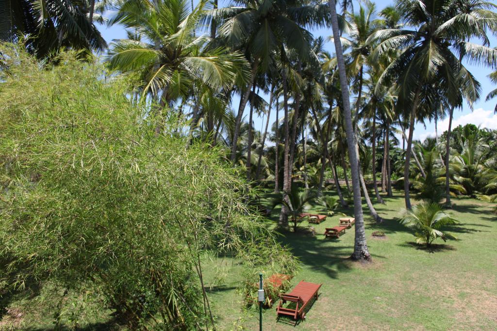 Chitra Ayurveda Hotell Bentota Rom bilde