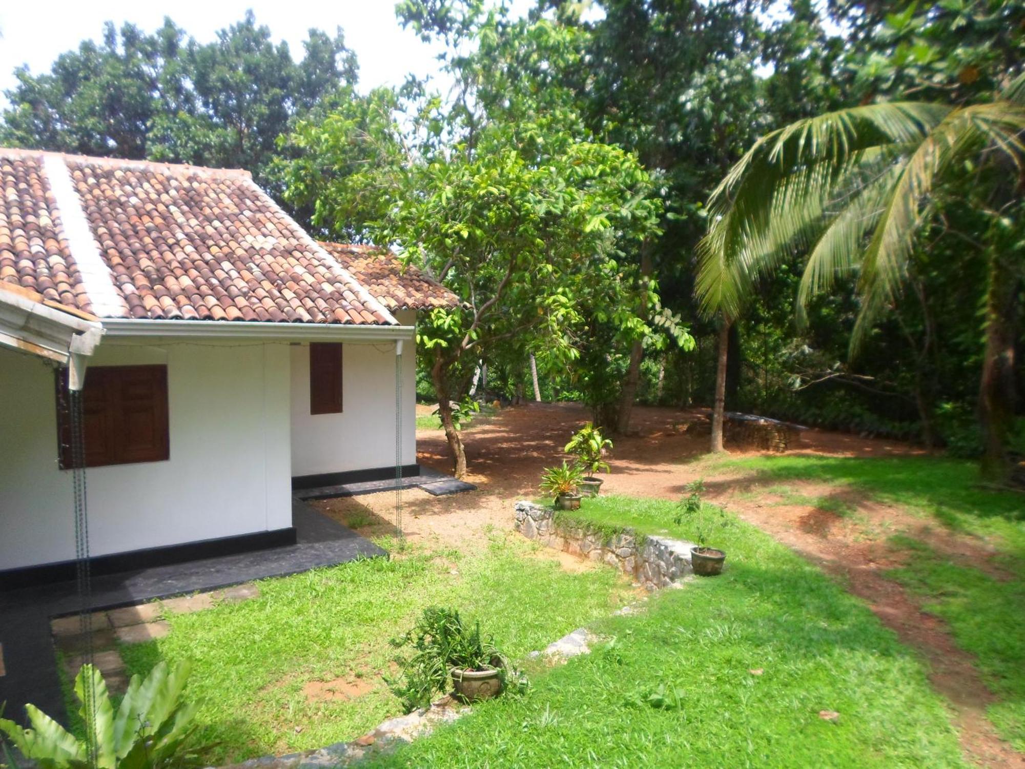 Chitra Ayurveda Hotell Bentota Rom bilde